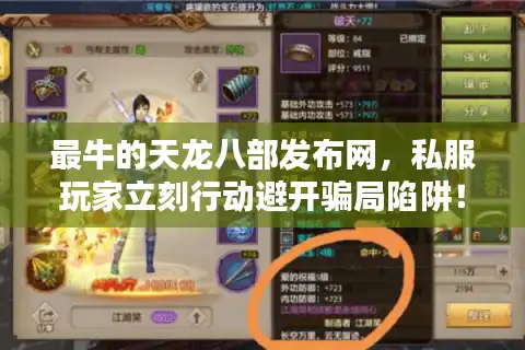 最牛的天龙八部发布网，私服玩家立刻行动避开骗局陷阱！