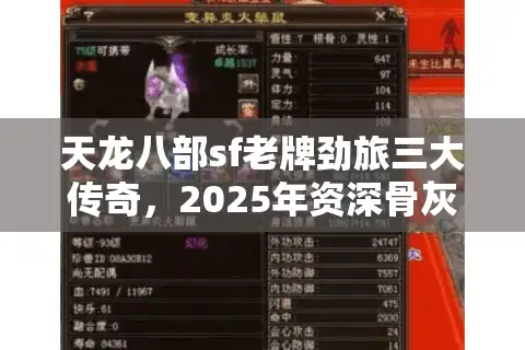 天龙八部sf老牌劲旅三大传奇，2025年资深骨灰如何避坑锁真福利？