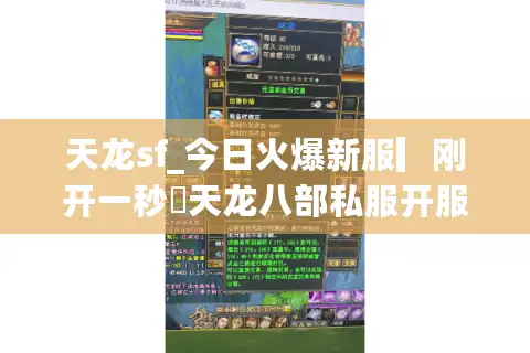 天龙sf_今日火爆新服▎刚开一秒◁天龙八部私服开服表大全