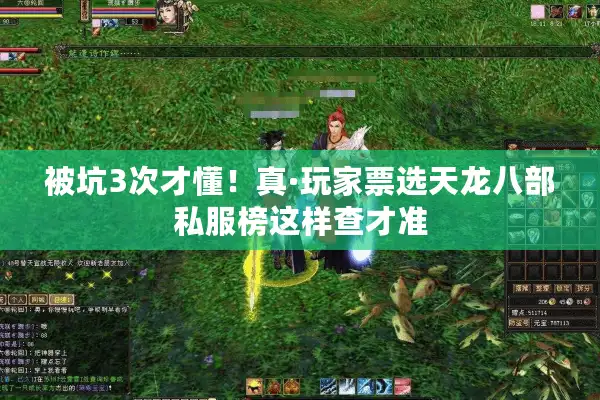 被坑3次才懂！真·玩家票选天龙八部私服榜这样查才准
