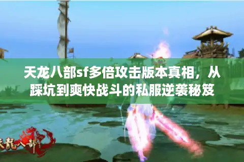 天龙八部sf多倍攻击版本真相，从踩坑到爽快战斗的私服逆袭秘笈