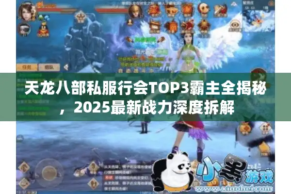 天龙八部私服行会TOP3霸主全揭秘，2025最新战力深度拆解