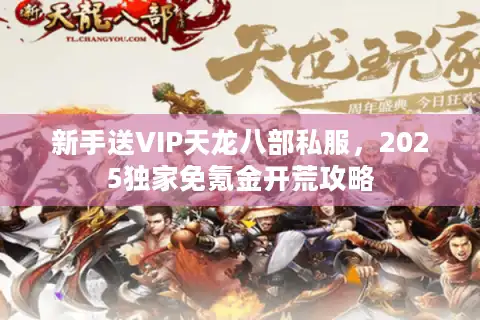 新手送VIP天龙八部私服，2025独家免氪金开荒攻略
