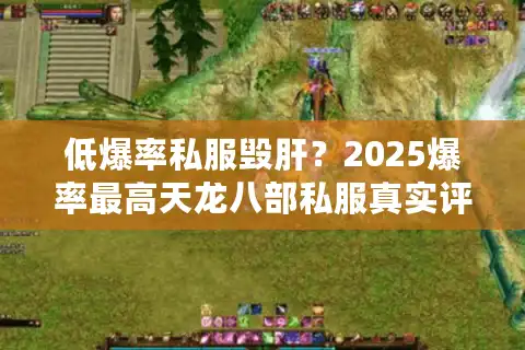 低爆率私服毁肝？2025爆率最高天龙八部私服真实评测