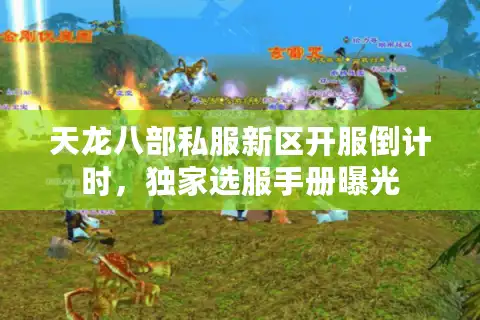 天龙八部私服新区开服倒计时，独家选服手册曝光
