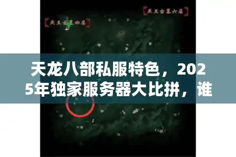 天龙八部私服特色，2025年独家服务器大比拼，谁是真王者？