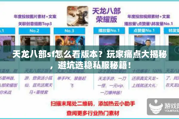 天龙八部sf怎么看版本？玩家痛点大揭秘，避坑选稳私服秘籍！