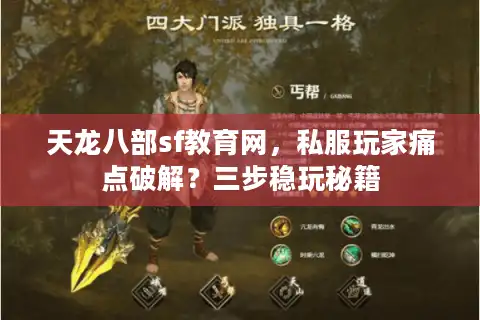 天龙八部sf教育网，私服玩家痛点破解？三步稳玩秘籍