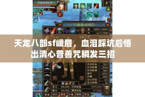 天龙八部sf峨眉，血泪踩坑后悟出清心普善咒瞬发三招