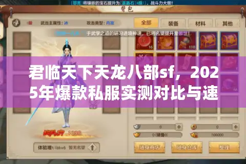 君临天下天龙八部sf，2025年爆款私服实测对比与速成攻略