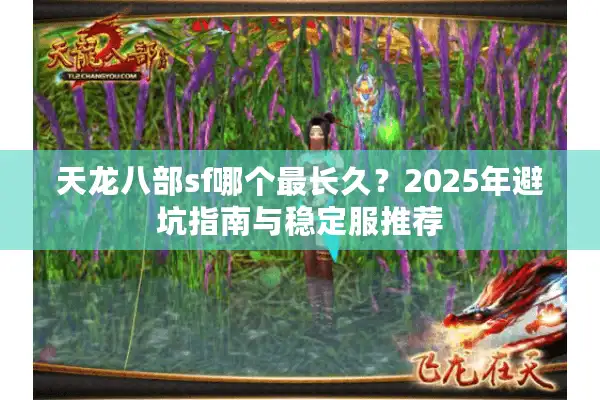 天龙八部sf哪个最长久？2025年避坑指南与稳定服推荐