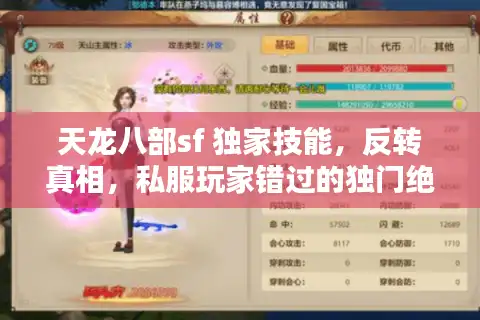 天龙八部sf 独家技能，反转真相，私服玩家错过的独门绝技