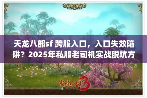 天龙八部sf 跨服入口，入口失效陷阱？2025年私服老司机实战脱坑方案