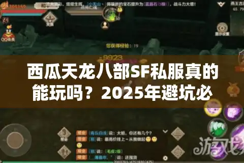 西瓜天龙八部SF私服真的能玩吗？2025年避坑必看的防跑路指南