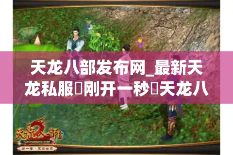 天龙八部发布网_最新天龙私服▷刚开一秒◁天龙八部sf今日开服表