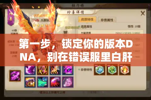 第一步，锁定你的版本DNA，别在错误服里白肝