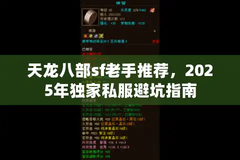 天龙八部sf老手推荐，2025年独家私服避坑指南