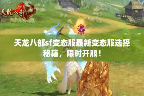 天龙八部sf变态服最新变态服选择秘籍，限时开服！