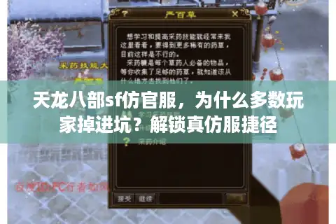 天龙八部sf仿官服，为什么多数玩家掉进坑？解锁真仿服捷径