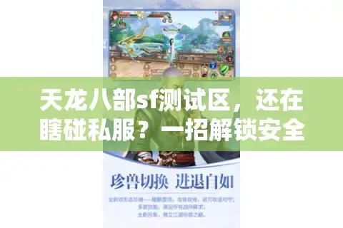 天龙八部sf测试区，还在瞎碰私服？一招解锁安全测试秘笈！