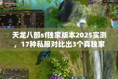 天龙八部sf独家版本2025实测，17种私服对比出3个真独家