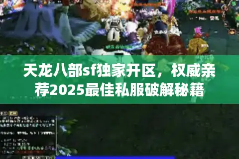 天龙八部sf独家开区，权威亲荐2025最佳私服破解秘籍