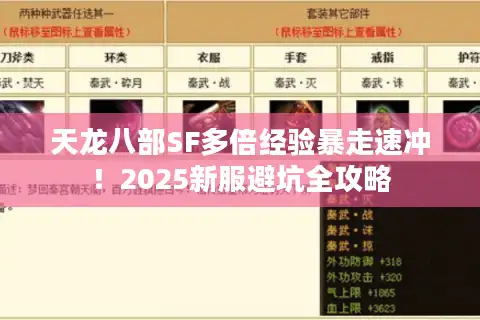 天龙八部SF多倍经验暴走速冲！2025新服避坑全攻略