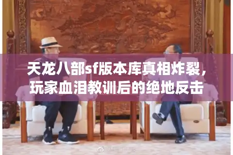 天龙八部sf版本库真相炸裂，玩家血泪教训后的绝地反击