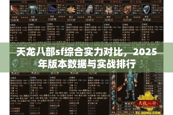 天龙八部sf综合实力对比，2025年版本数据与实战排行