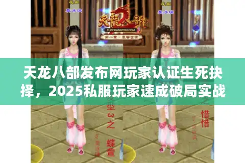 天龙八部发布网玩家认证生死抉择，2025私服玩家速成破局实战法