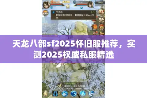 天龙八部sf2025怀旧服推荐，实测2025权威私服精选
