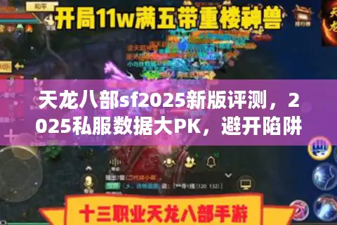 天龙八部sf2025新版评测，2025私服数据大PK，避开陷阱速上手