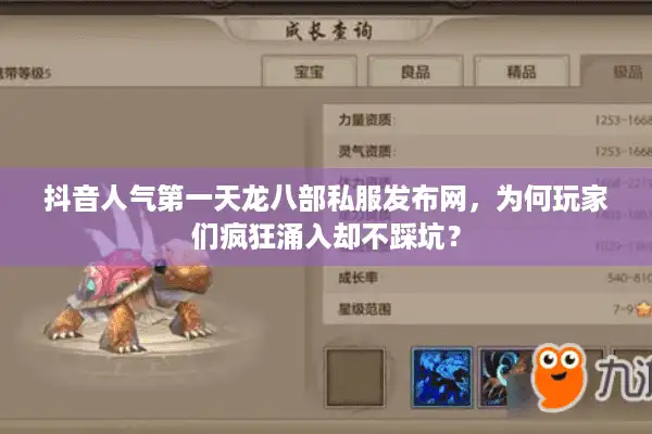 抖音人气第一天龙八部私服发布网，为何玩家们疯狂涌入却不踩坑？
