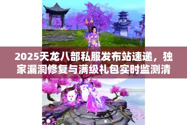 2025天龙八部私服发布站速递，独家漏洞修复与满级礼包实时监测清单