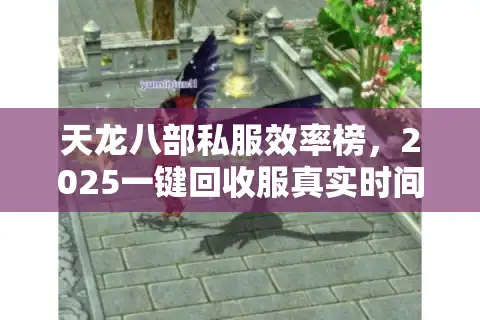 天龙八部私服效率榜，2025一键回收服真实时间成本大公开
