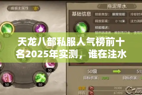 天龙八部私服人气榜前十名2025年实测，谁在注水谁在飞？