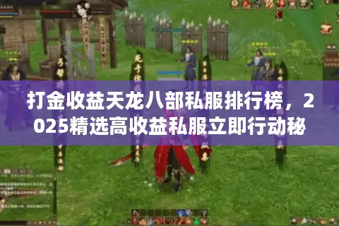 打金收益天龙八部私服排行榜，2025精选高收益私服立即行动秘籍