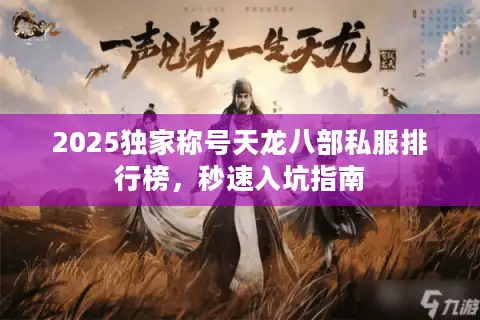 2025独家称号天龙八部私服排行榜，秒速入坑指南