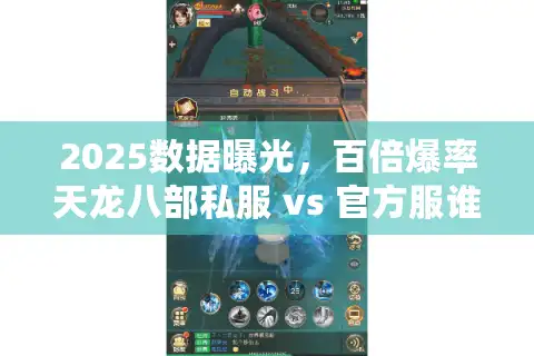 2025数据曝光，百倍爆率天龙八部私服 vs 官方服谁更强？