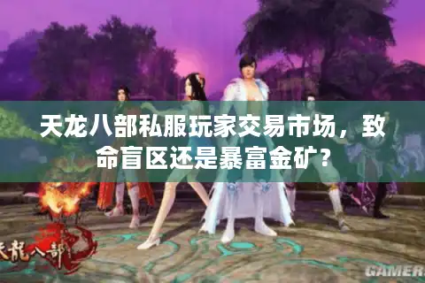 天龙八部私服玩家交易市场，致命盲区还是暴富金矿？