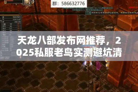 天龙八部发布网推荐，2025私服老鸟实测避坑清单