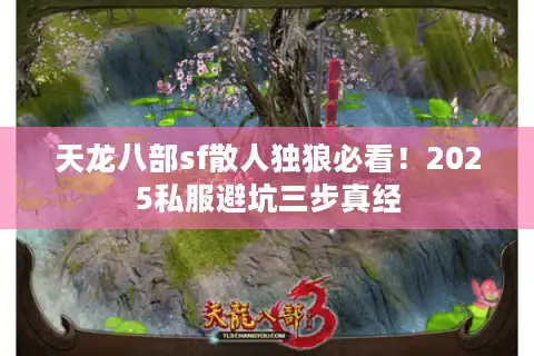 天龙八部sf散人独狼必看！2025私服避坑三步真经