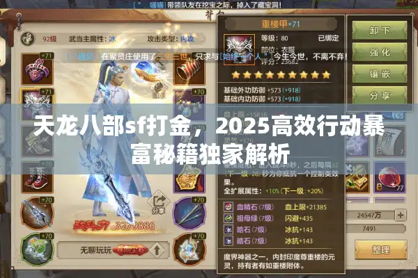 天龙八部sf打金，2025高效行动暴富秘籍独家解析