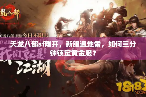 天龙八部sf刚开，新服遍地雷，如何三分钟锁定黄金服？