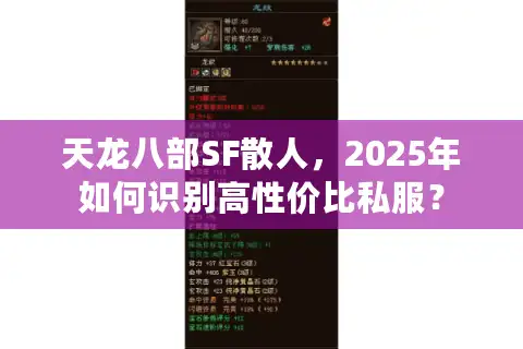 天龙八部SF散人，2025年如何识别高性价比私服？