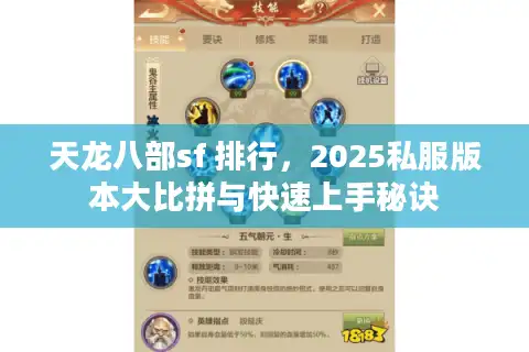 天龙八部sf 排行，2025私服版本大比拼与快速上手秘诀