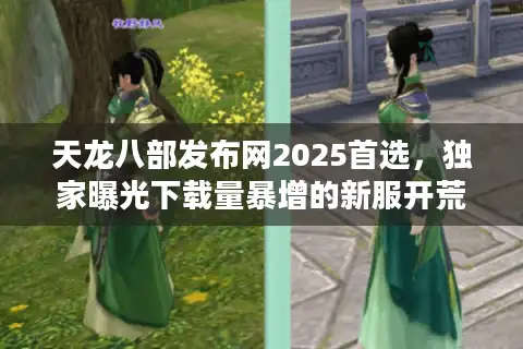 天龙八部发布网2025首选，独家曝光下载量暴增的新服开荒秘诀