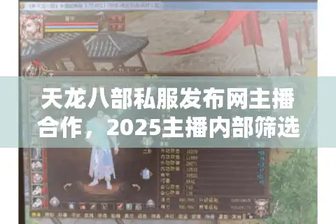 天龙八部私服发布网主播合作，2025主播内部筛选秘籍大公开