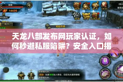 天龙八部发布网玩家认证，如何秒避私服陷阱？安全入口揭秘！