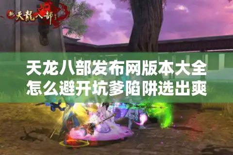 天龙八部发布网版本大全怎么避开坑爹陷阱选出爽玩私服？